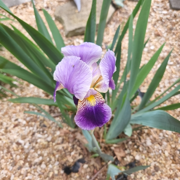 Always OPEN to offers!!๐๐๐please be reasonable. - Picture 3 of 4